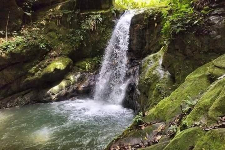 Hotel Posada Campestre San Juan Monterrey 외부 사진